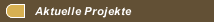 Aktuelle Projekte