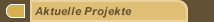 Aktuelle Projekte